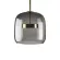 Подвесной светильник Loft IT Dauphin 10041A, Бронза, Серый, Теплый белый