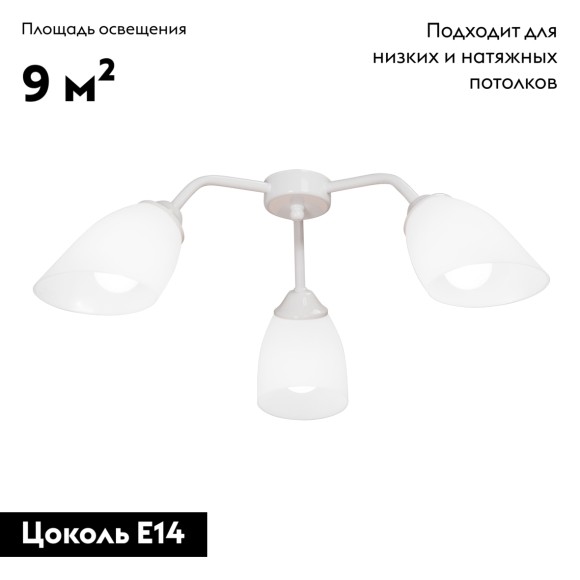 Потолочная люстра Vitaluce V31950/3PL