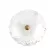 Настенный светильник Loft IT Bloom 10352W/B AB, Бронза, Прозрачный, Теплый белый
