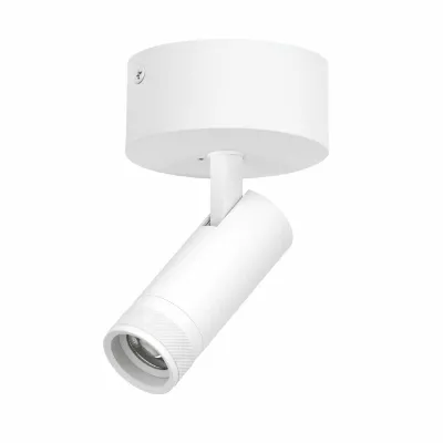 Накладной светильник 20-55G с адаптером Lightstar Canno Pro C4126SO