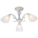 Потолочная люстра Reluce 74430-0.3-03
