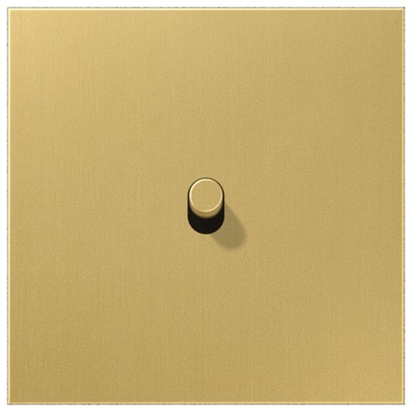 Центральная плата, 1 пост, 1 тумблер, цилиндр; металлическое исполнение; латунь классик; серия LS Jung ME12-0CR25