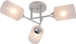 Потолочная люстра Rivoli Federica 9178-303 Б0068438