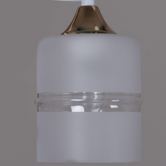 Потолочная люстра Reluce 02283-0.3-03 WT+FGD