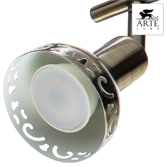 Спот Arte Lamp Focus A5219PL-3AB