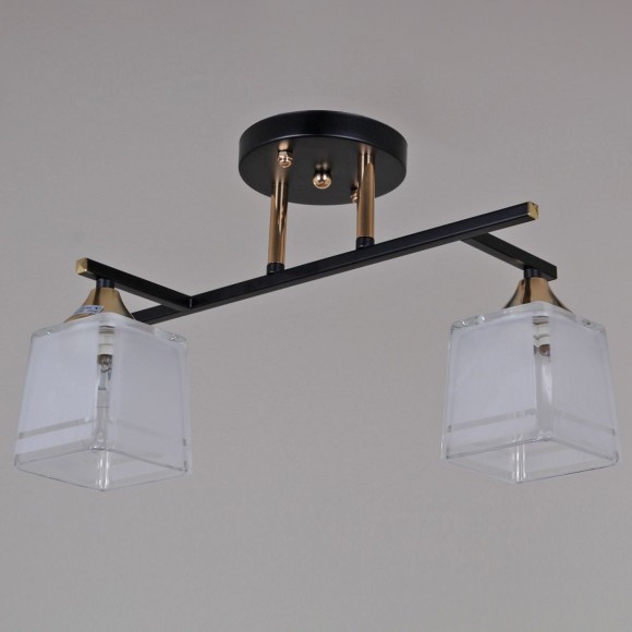 Потолочный светильник Reluce 46460-0.3-02 BK+FG