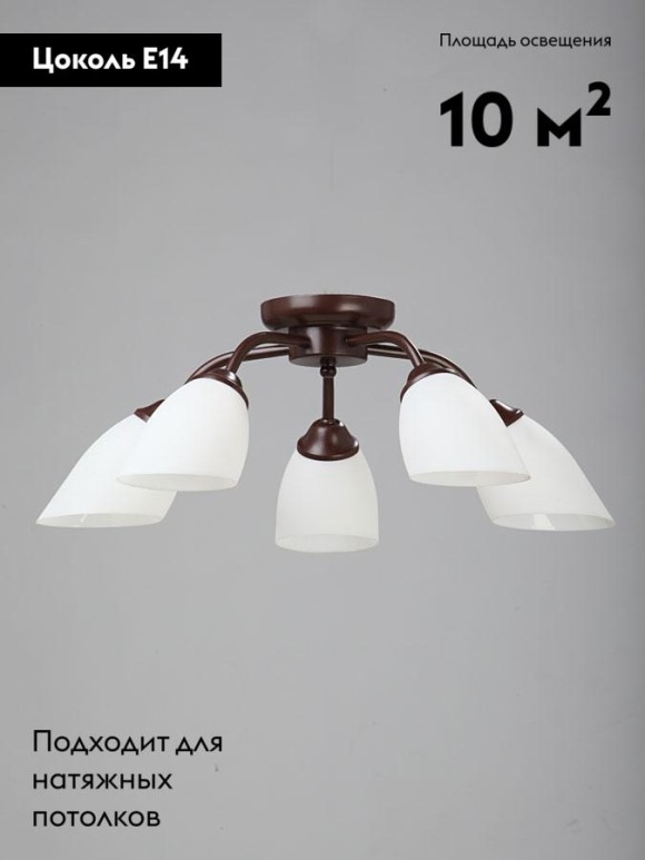 Потолочная люстра Vitaluce V3252/5PL