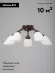 Потолочная люстра Vitaluce V3252/5PL, Черный, Белый, Металл