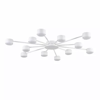 Потолочная люстра Lumion Comfi Torina 8343/12C