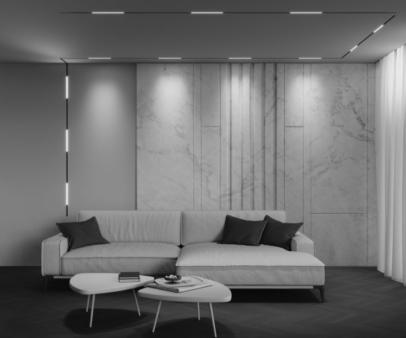 Трековый магнитный светильник Maytoni Technical Basis Exility X TR240-2-6W4K-B