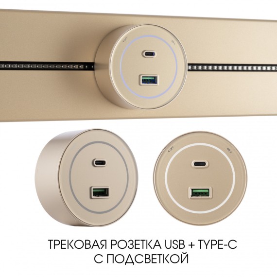 Трековая розетка Arte Milano Am-track-sockets-39 399732TS/USB-Type-C Gold