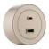 Трековая розетка Arte Milano Am-track-sockets-39 399732TS/USB-Type-C Gold