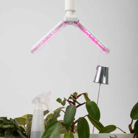 Фитолампа для растений красно-синего спектра Эра ФИТО-20W-PL-E27-GR Б0064517