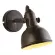 Спот Arte Lamp Martin A5213AP-1BR, Лофт, Коричневый