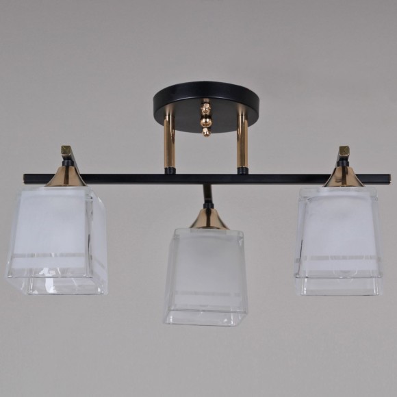 Потолочный светильник Reluce 46460-0.3-03 BK+FG