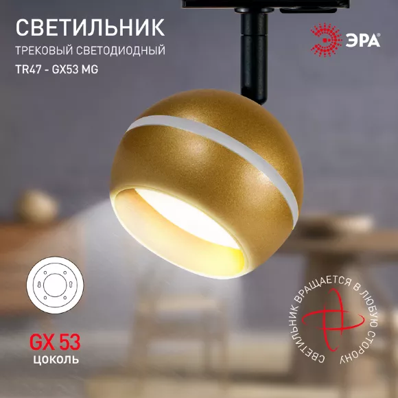 Трековый светильник Эра TR47 - GX53 MG Б0054157, Модерн, Золото Трековый светильник Эра TR47 - GX53 MG Б0054157, Модерн, Золото