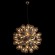 Подвесная люстра LOFT IT Taraxacum 10470/800