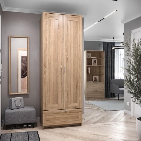 Шкаф платяной Сириус SHST_2-02-01-470-3