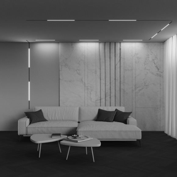 Трековый магнитный светильник Maytoni Technical Basis Exility X TR240-2-12W3K-B