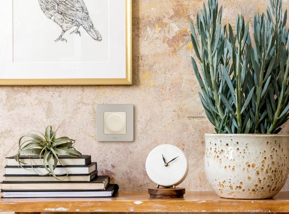 Рамка одноместная Legrand Inspiria 673938