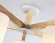 Люстра на штанге Ambrella Light Loft TR83113, Белый, Металл, Стекло, вид снизу