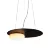 Подвесной светильник Delight Collection 352 P0352-480A black