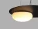 Подвесной светильник Delight Collection 352 P0352-480A black, Черный, Белый, Теплый белый, крупный план