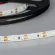Светодиодная лента Arlight RT 2-5000 12V White6000 2x (3528, 600 LED, LUX) 012334(B)