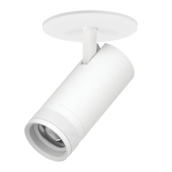 Встраиваемый светильник 20-55G с адаптером Lightstar Canno Pro C4206RS