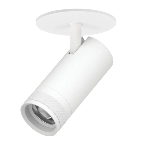 Встраиваемый светильник 20-55G с адаптером Lightstar Canno Pro C4206RS