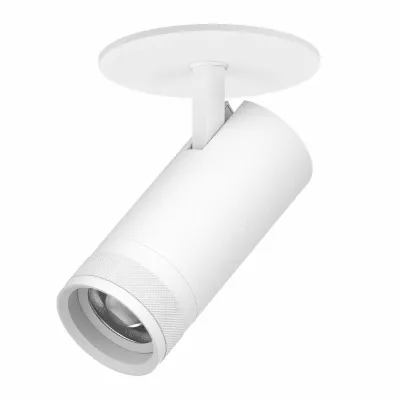 Встраиваемый светильник 20-55G с адаптером Lightstar Canno Pro C4206RS