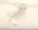Спот Ambrella Light Techno Spot XM6322011 (A2202, C6322, N6248), вид снизу