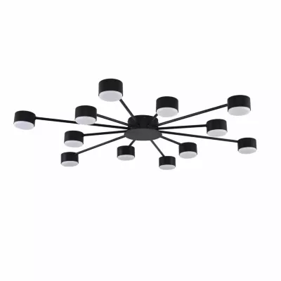 Потолочная люстра Lumion Comfi Torina 8344/12C