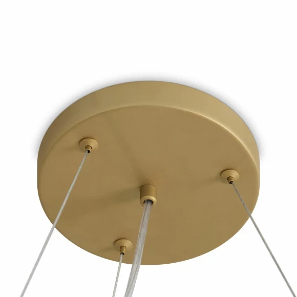 Подвесная люстра Freya Bless FR5567PL-06G