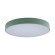 Потолочный светильник Loft IT AXEL 10002/24 Green