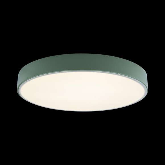 Потолочный светильник Loft IT AXEL 10002/24 Green