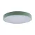 Потолочный светильник Loft IT AXEL 10002/24 Green