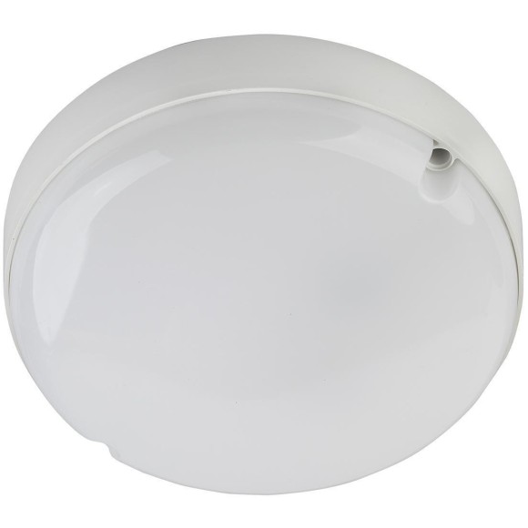 Настенно-потолочный светильник ЭРА SPB-201-0-65K-008 Б0047616