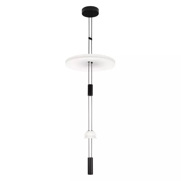Подвесной светильник Loft IT Flamingo 10598C