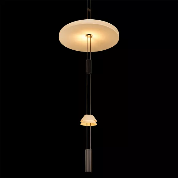 Подвесной светильник Loft IT Flamingo 10598C, Черный, Белый, Теплый белый, декоративные элементы крупным планом