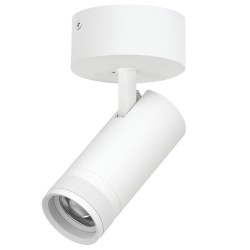 Накладной светильник 20-55G с адаптером Lightstar Canno Pro C4206SO