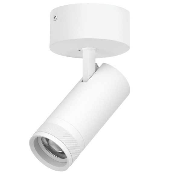 Накладной светильник 20-55G с адаптером Lightstar Canno Pro C4206SO