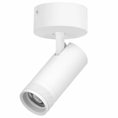 Накладной светильник 20-55G с адаптером Lightstar Canno Pro C4206SO