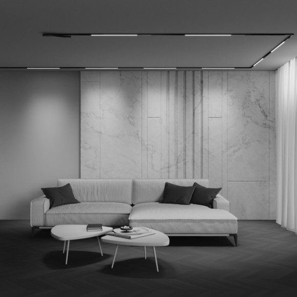 Трековый магнитный светильник Maytoni Technical Basis Exility X TR240-4-12WTW-DD2-B