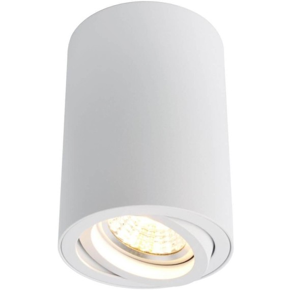 Потолочный светильник Arte Lamp A1560PL-1WH