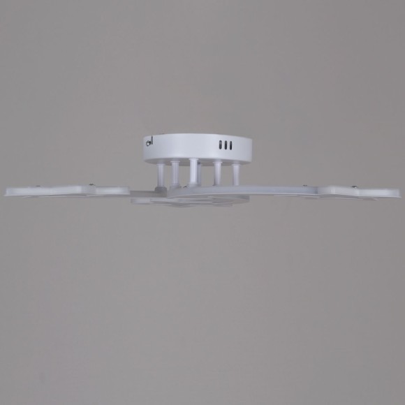 Потолочный светильник Reluce 01150-0.3-03 WH