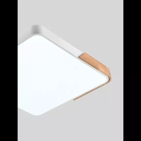 Потолочный светильник Natali Kovaltseva Scandinavian LED LAMPS 81411, вид снизу Потолочный светильник Natali Kovaltseva Scandinavian LED LAMPS 81411, вид снизу