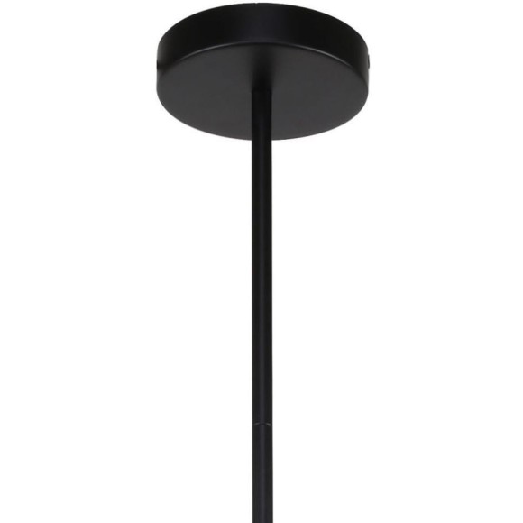 Люстра на штанге F-Promo Sheeny 3088-10P