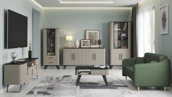 Набор для гостиной Фиделия TRM_Fideliya_system_1