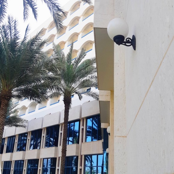 Уличный настенный светильник Fumagalli Globe 250 G25.131.000.AYF1R